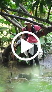 BIB:  <button type="button" onclick="openModal(27477763)" class="btn btn-primary btn-sm float-right" data-toggle="modal" data-target=".modal-high-quality">
                <i class="fa fa-download"></i> Download
                </button>